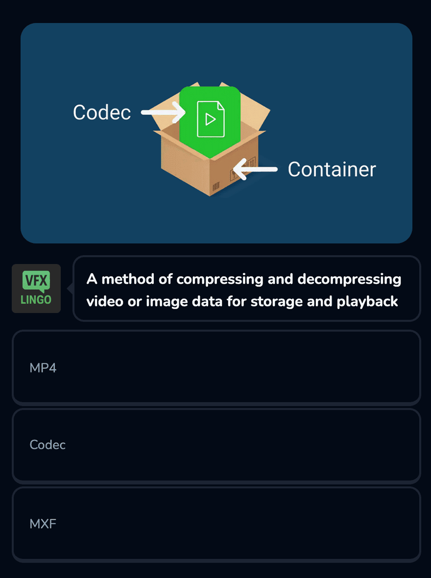 VFX Lingo question example showing multiple choice format