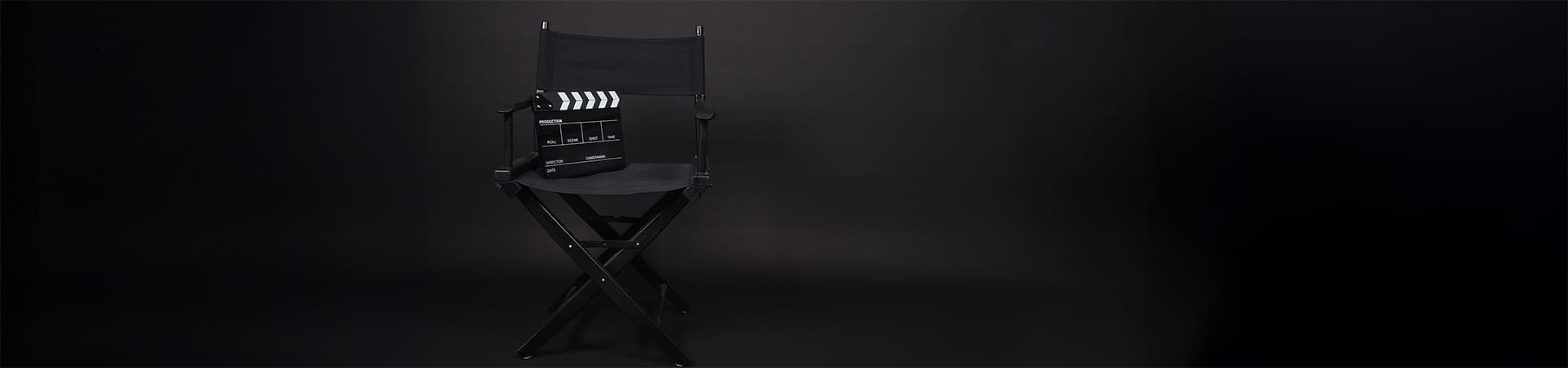 VFX Lingo Director Chair Banner